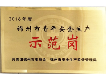 2016年度锦州市青年安全生产示范岗