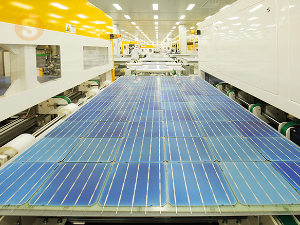阳光能源组件产能已逆势满载 明年再推高阶产品强占市场