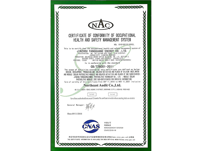 Certificate of Conformity of Occupational Health and Safety Management System （English）